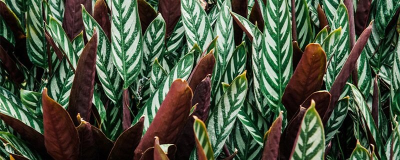 bc123647a8819f50.jpg bc123647a8819f50.jpg