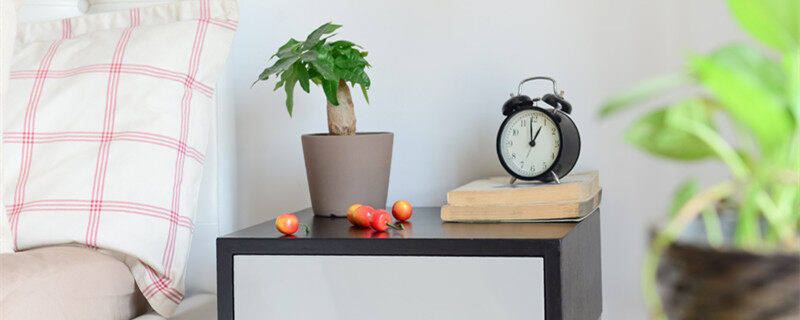 发财树耐寒最低气温是多少 发财树耐寒最低气温是多少度