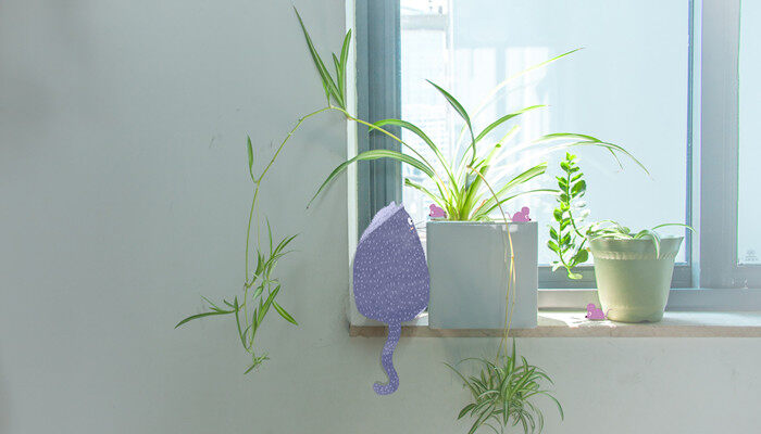 摄图网_400508909_banner_小猫晒太阳吊兰(企业商用)_副本.jpg 摄图网_400508909_banner_小猫晒太阳吊兰(企业商用)_副本.jpg