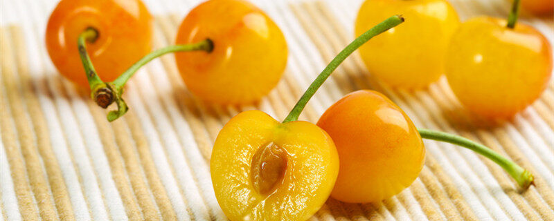 摄图网_500508212_banner_黄樱桃1（企业商用）_副本.jpg