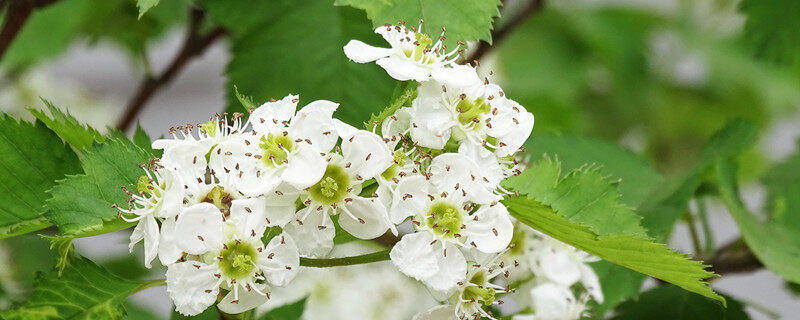 41784c0dbcaaaedc178cdbcad0c082f.jpg 41784c0dbcaaaedc178cdbcad0c082f.jpg