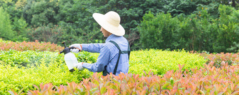 首图 植物喷农药（企业商用）_副本.jpg