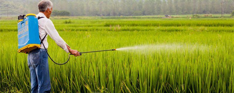 摄图网_500575596_banner_除草剂1(企业商用) (1)_副本.jpg 摄图网_500575596_banner_除草剂1(企业商用) (1)_副本.jpg