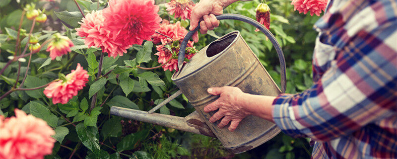 首图 浇花(企业商用)_副本.jpg 首图 浇花(企业商用)_副本.jpg