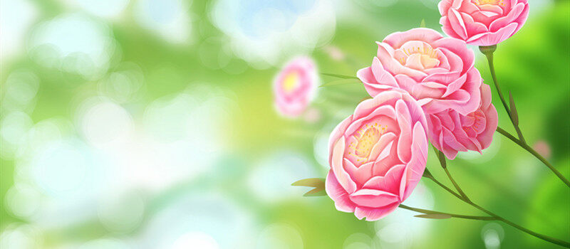 摄图网_400145597_banner_立夏(企业商用)_2.jpg 摄图网_400145597_banner_立夏(企业商用)_2.jpg