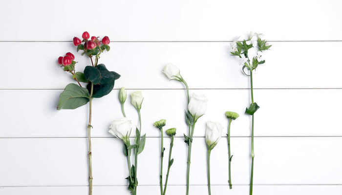摄图网_500443543_banner_小清新 花 鲜花（企业商用）_副本.jpg