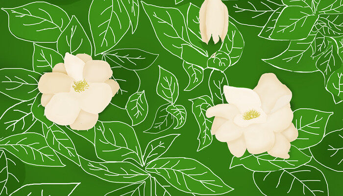 摄图网_400137608_banner_栀子花开(企业商用)_副本.jpg 摄图网_400137608_banner_栀子花开(企业商用)_副本.jpg