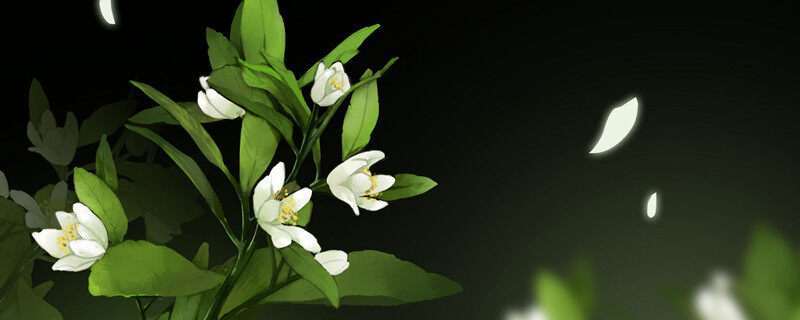 摄图网_400129422_banner_花卉插图(企业商用) (2)_2.jpg 摄图网_400129422_banner_花卉插图(企业商用) (2)_2.jpg