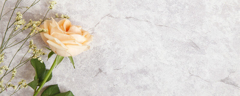 摄图网_500563725_banner_玫瑰花背景图片（企业商用）_2.jpg