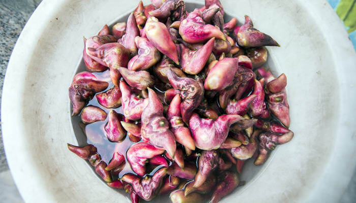 菱角国元素特色食物水菱(.jpg 菱角国元素特色食物水菱(.jpg