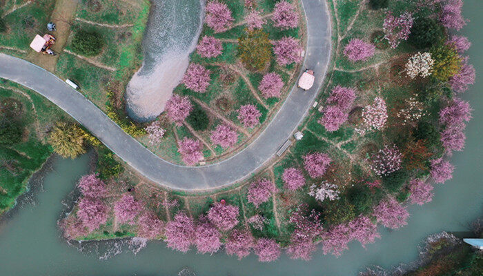 摄图网_501577427_banner_春天紫色海棠花盛开(企业商用)_副本.jpg 摄图网_501577427_banner_春天紫色海棠花盛开(企业商用)_副本.jpg