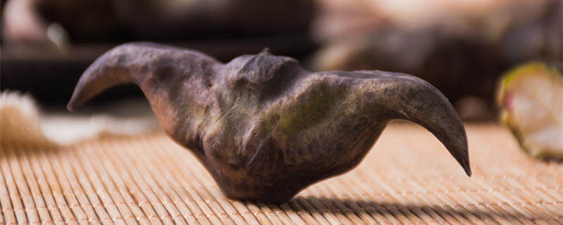 _菱角(企业商用)_副本.jpg _菱角(企业商用)_副本.jpg