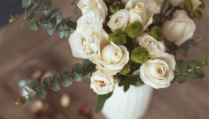 白玫瑰3.jpg 白玫瑰3.jpg