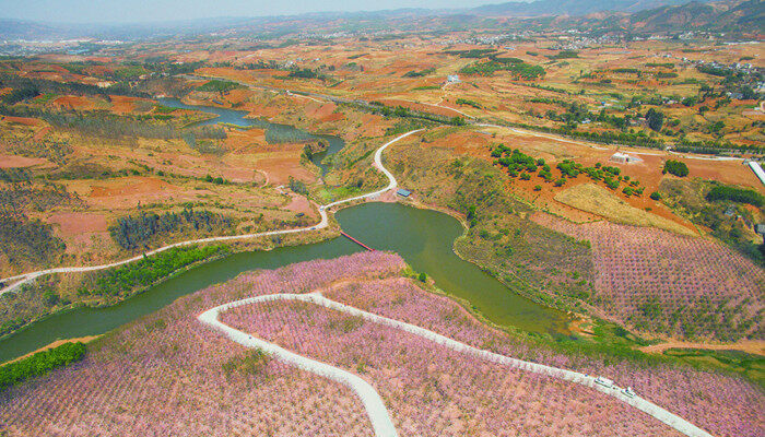 摄图网_501233174_banner_航拍樱花林树木(企业商用3本.jpg 摄图网_501233174_banner_航拍樱花林树木(企业商用3本.jpg