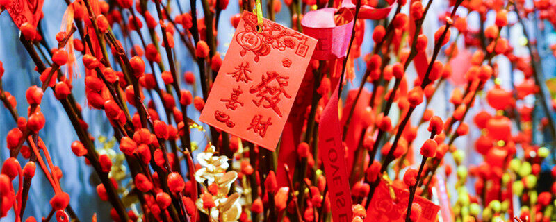 摄图网_501718089_banner_银柳(企业商用)0_副本.jpg 摄图网_501718089_banner_银柳(企业商用)0_副本.jpg