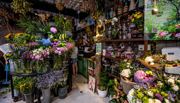 金鱼吊兰4.jpg 金鱼吊兰4.jpg