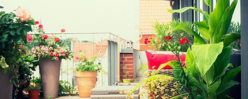 摄图网_300444358_banner_坎纳露台花盆与藤家具(企业商用)_2_副本.jpg 摄图网_300444358_banner_坎纳露台花盆与藤家具(企业商用)_2_副本.jpg