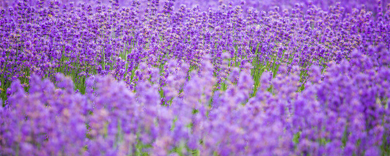 10._副本.jpg 10._副本.jpg