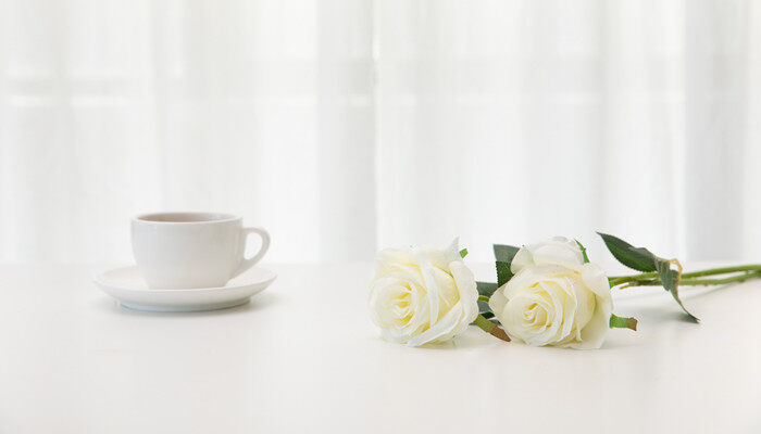 玫瑰 (4).jpg 玫瑰 (4).jpg