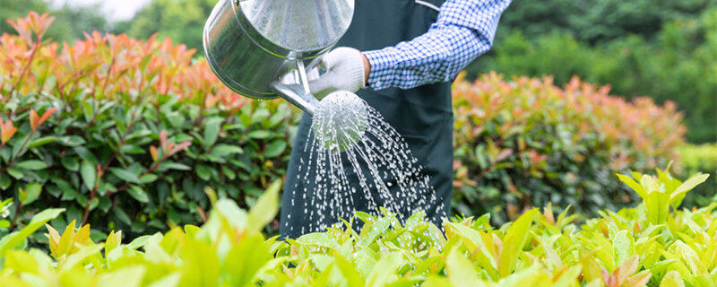摄图网_501651934_banner_农场园丁提水桶为植物浇水（企业商用）1_副本_副本.jpg