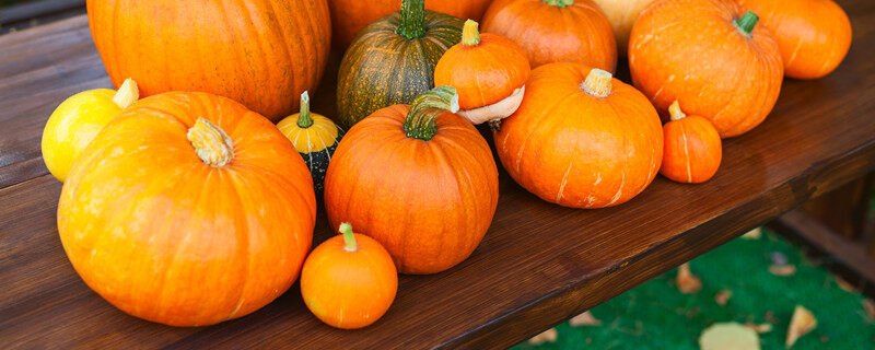 南瓜 (3).jpg 南瓜 (3).jpg