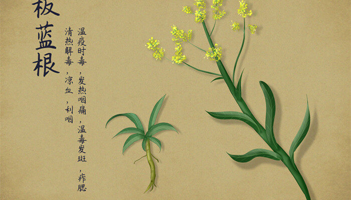 摄图网_400965926_banner_中国风手绘中药（企业商用）_副本.jpg