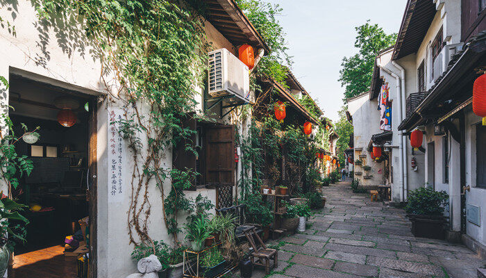 爬山虎3.jpg 爬山虎3.jpg