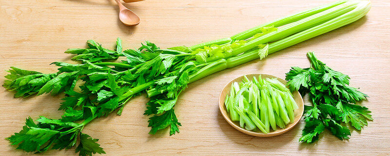 2025年11月23日全国首要批发商业商场芹菜价格行情