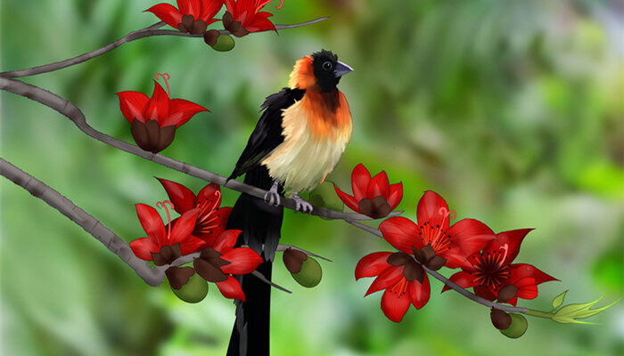 摄图网_400985559_banner_可爱动物春天手绘鸟(企业商用)_副本.jpg 摄图网_400985559_banner_可爱动物春天手绘鸟(企业商用)_副本.jpg