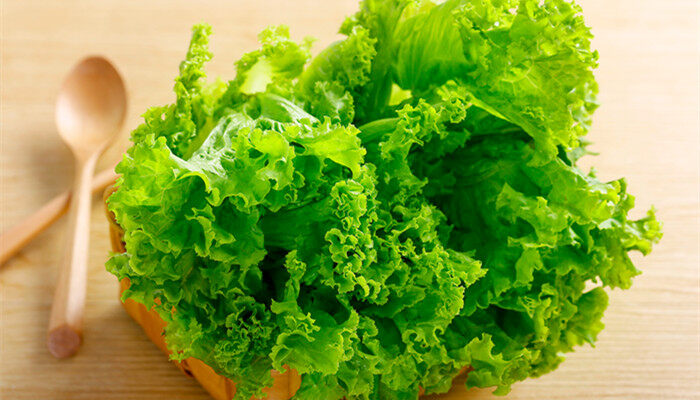 摄图网_500499109_生菜(企业商用).jpg 摄图网_500499109_生菜(企业商用).jpg