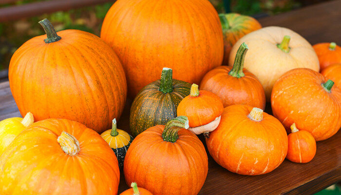 南瓜3.jpg 南瓜3.jpg