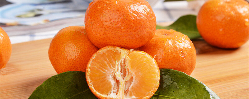 椪柑和橘子的区别 椪柑和橘子的区别有哪些