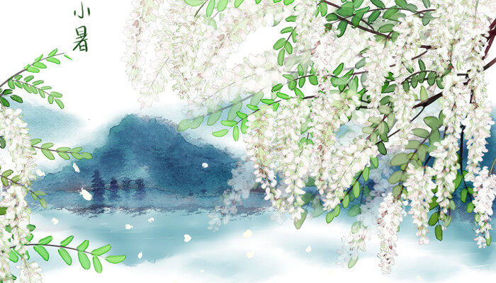 槐花2.jpg