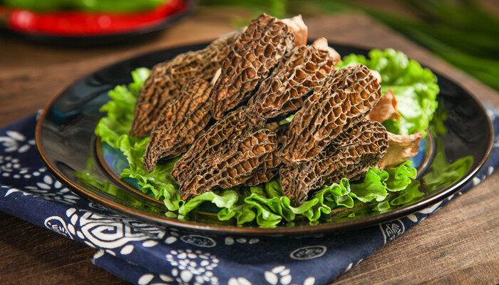 摄图网_501451126_banner_羊肚菌     （企业商用）_副本.jpg