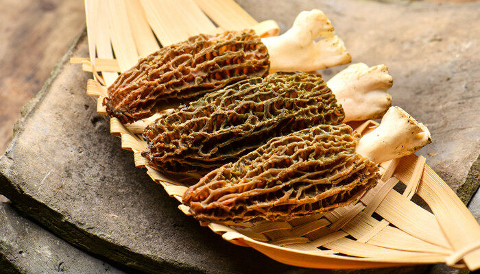 摄图网_500980625_banner_羊肚菌（企业商用）_副本.jpg