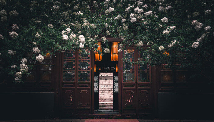 木本绣球树几年能开花 木本绣球树养多少年能开花