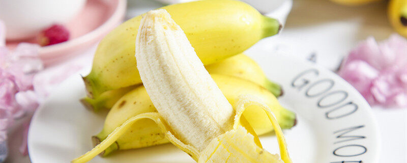 摄图网_501248657_banner_海南手指焦(企业商用_副本.jpg 摄图网_501248657_banner_海南手指焦(企业商用_副本.jpg