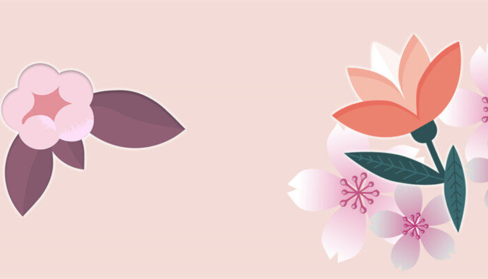 六月雪的寓意 六月雪的寓意是