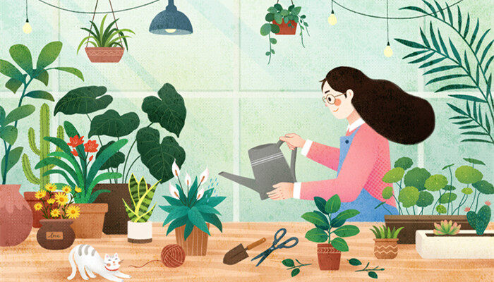 杏叶的寓意 杏叶的寓意是