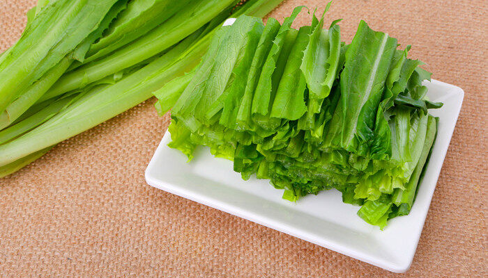 油麦菜几天发芽出土 油麦菜多久发芽出土