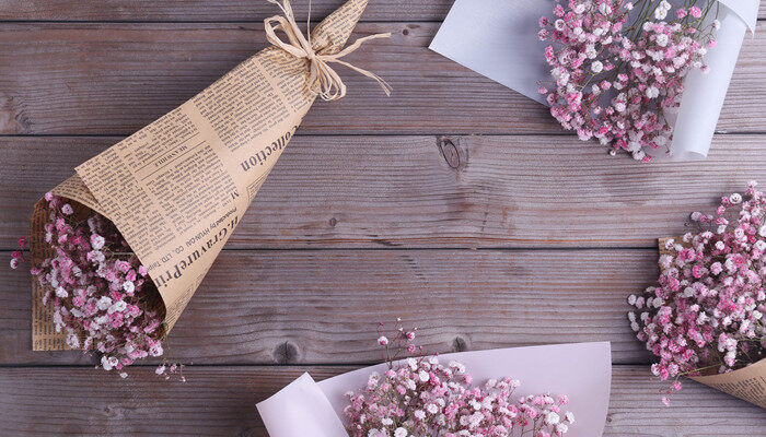 买了一束满天星怎么养 满天星如何养殖