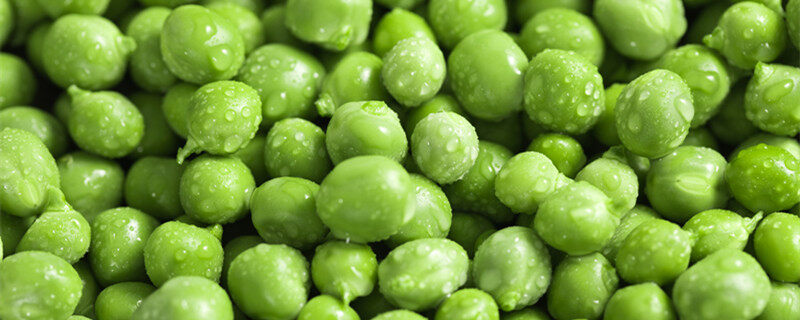 甜豌豆种植时间和方法 甜豌豆种植时间和方法是什么