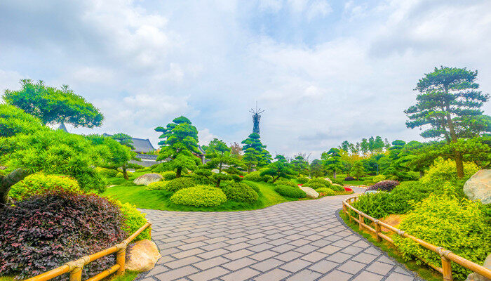 庭院种罗汉松一棵还是2棵 庭院种一棵还是2棵罗汉松