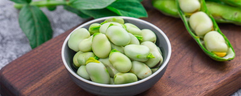 蚕豆生长期几个月才能成熟 蚕豆生长期要几个月才能成熟