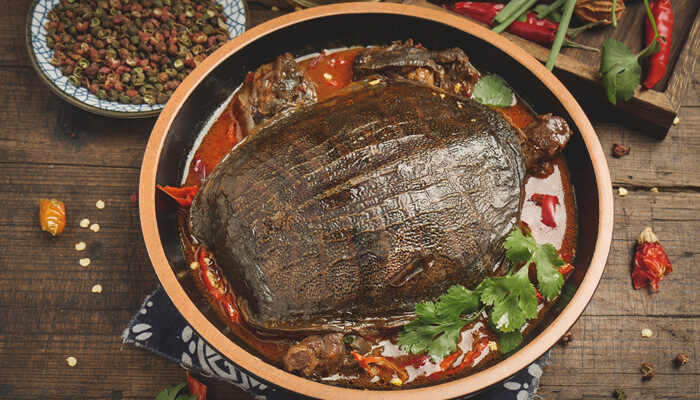 小鳖怎么养吃什么 小鳖要怎么养吃什么