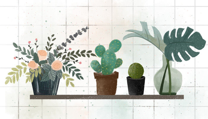 草头娃娃是什么草 草头娃娃是什么草啊