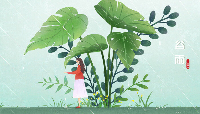 草头娃娃是什么草 草头娃娃是什么草啊