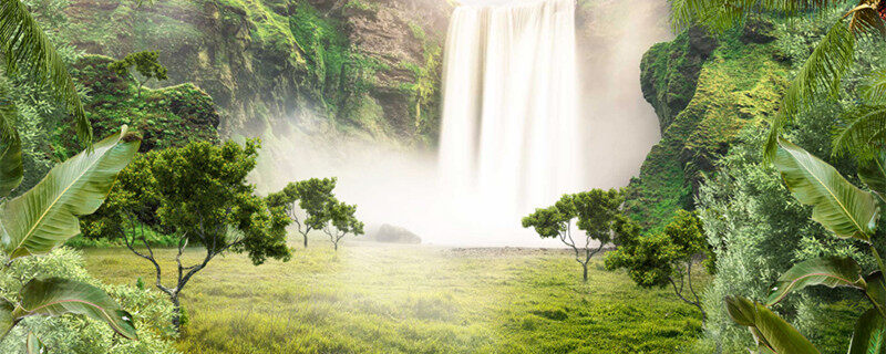 草头娃娃是什么草 草头娃娃是什么草啊