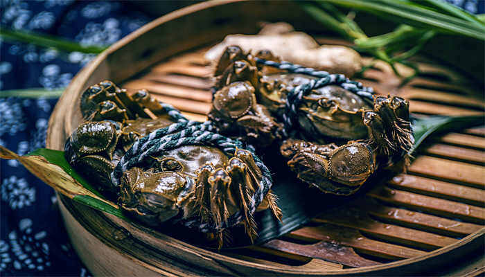 波格力蟹是什么品种 波格力蟹是属于什么品种