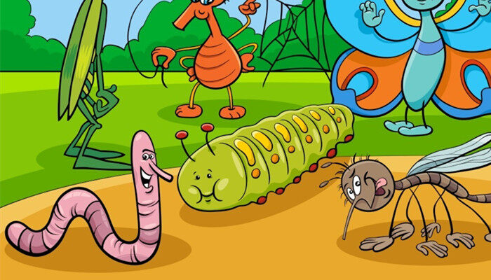 区分蚯蚓前后端的方法 区分蚯蚓前后端的根本方法